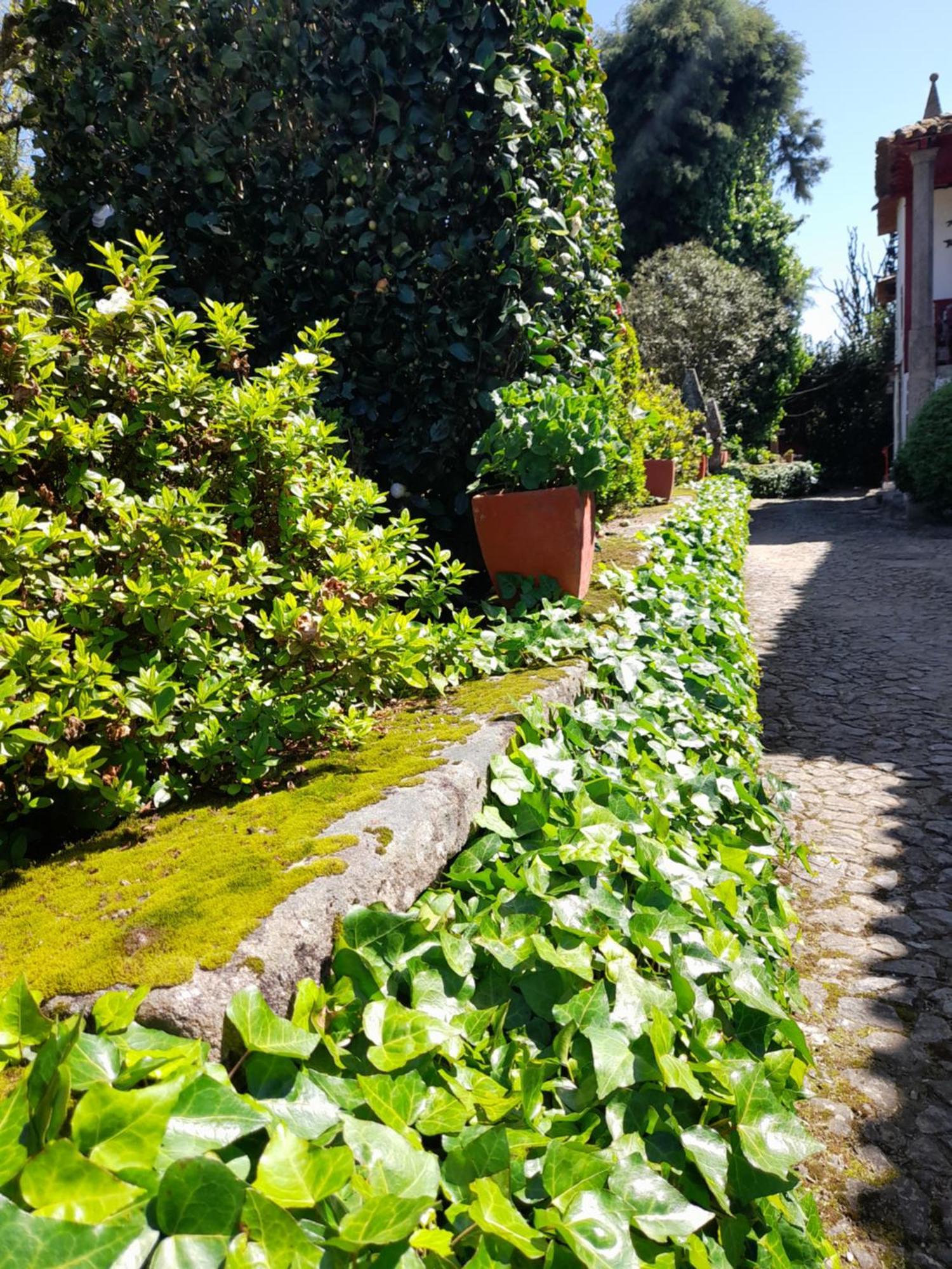 Quinta Da Mainha - Charming Houses Braga Exterior foto